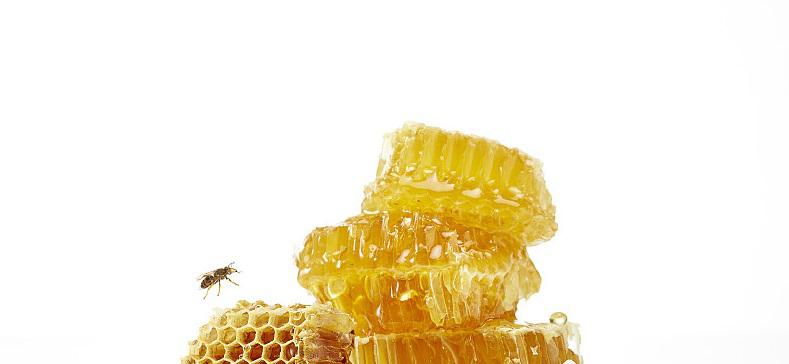 蜂蜜检测